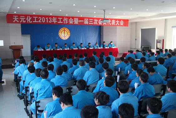 天元化工2013年工作会暨一届三次会员代表大会现场