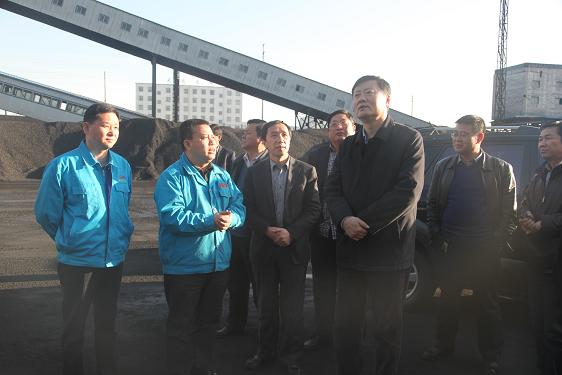 王虹安副厅长一行调研生产装置现场